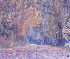 4 Fall Freshen Ups